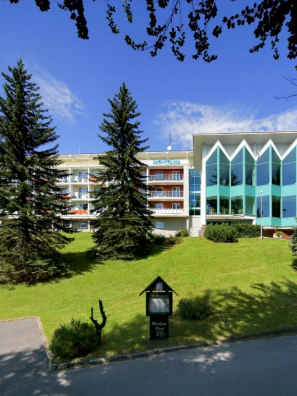 Interhotel Montana