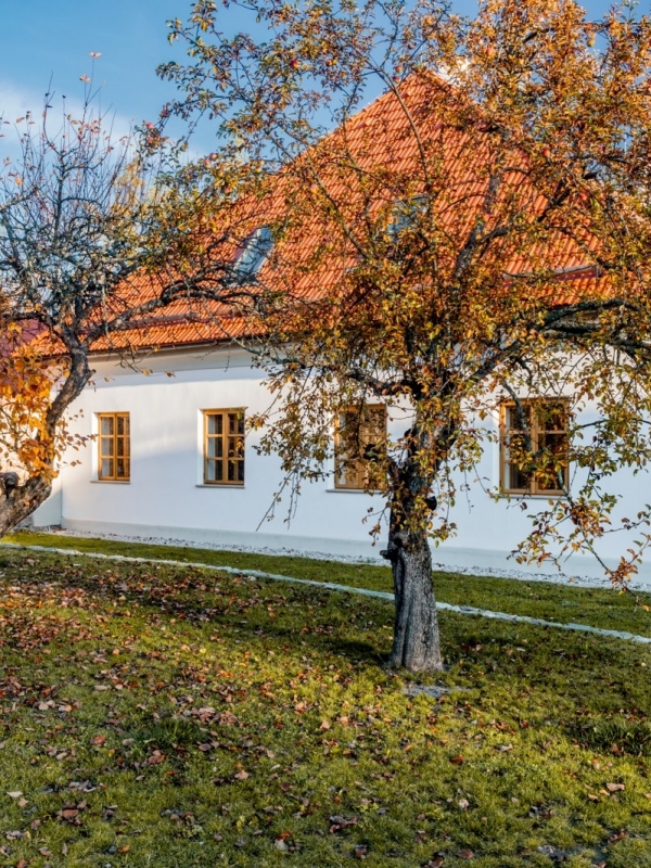 Statek U Medvěda
